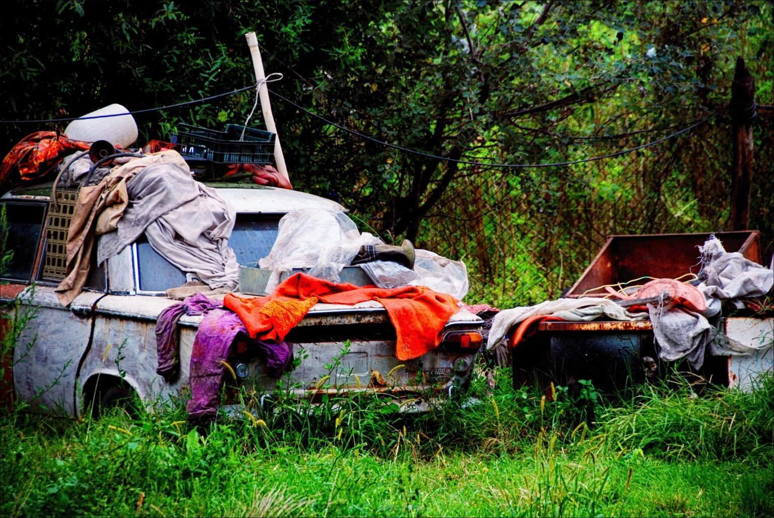 Yard Waste and Debris removal